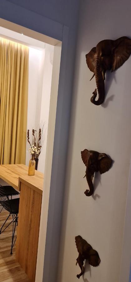 New Modern Apartment In The Center Of Tirana Eksteriør billede